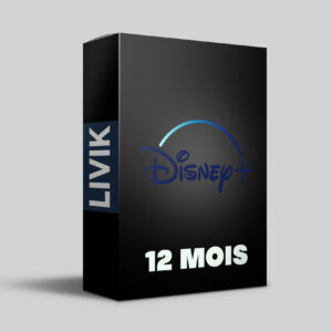 Abonnement Disney Plus